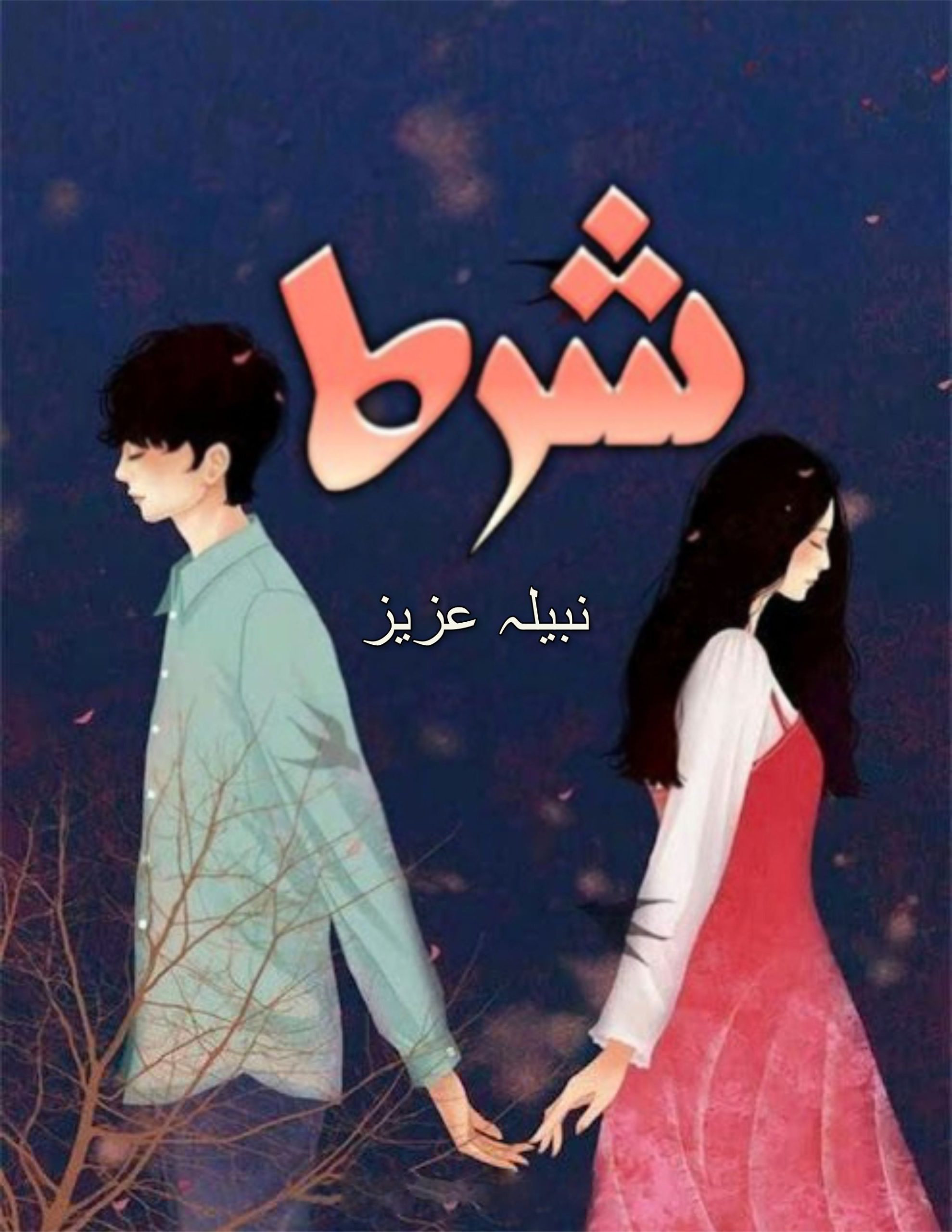 shart novel by nabila aziz 