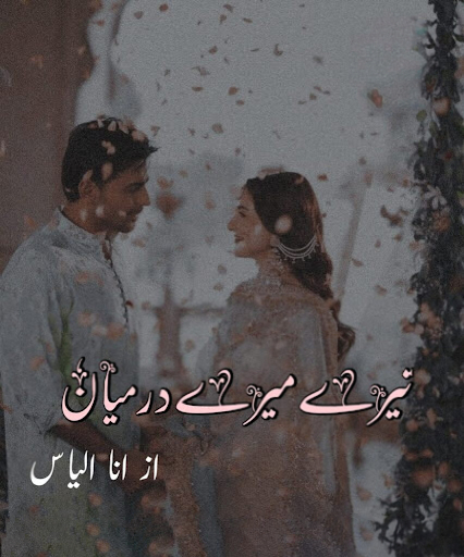 tere mere darmiyan novel by ana ilyas