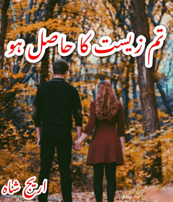 Tum Zeest Ka Hasil Ho novel by Areej Shah PDF download